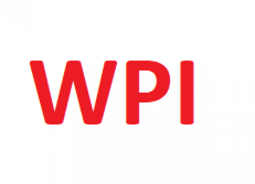WPI - İncegül Otomotiv | Tüm marka ve modellerin yedek parça tedariğini sağlamayı siz değerli müşterilerim